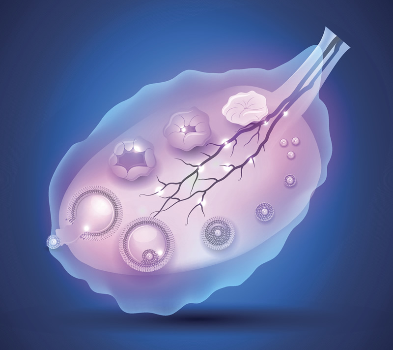 上海三代试管婴儿医院要哪家医院
